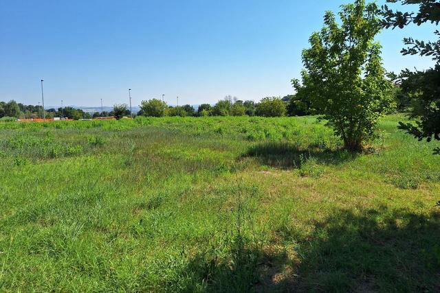 #21687 Area edificabile residenziale di 3069 mq in vendita - foto 7
