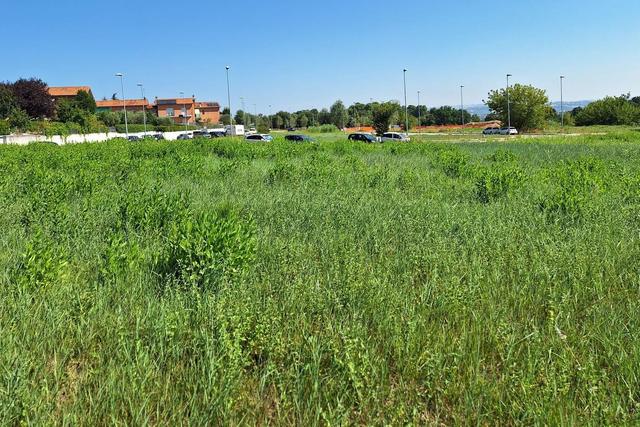 #21687 Area edificabile residenziale di 3069 mq in vendita - foto 8