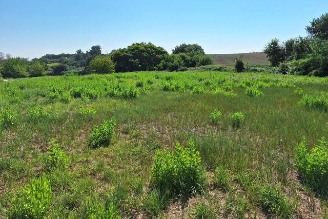 #21687 Area edificabile residenziale di 3069 mq in vendita - foto 11