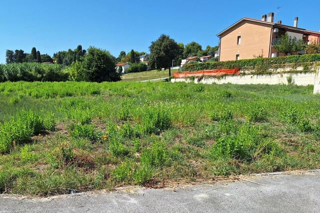 #21687 Area edificabile residenziale di 3069 mq in vendita - foto 10