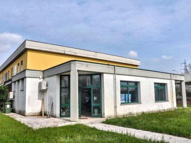 Grandi dimensioni in vendita
