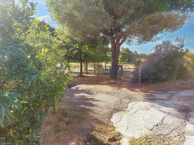 Agriturismi in vendita