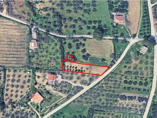 Agricoli in vendita