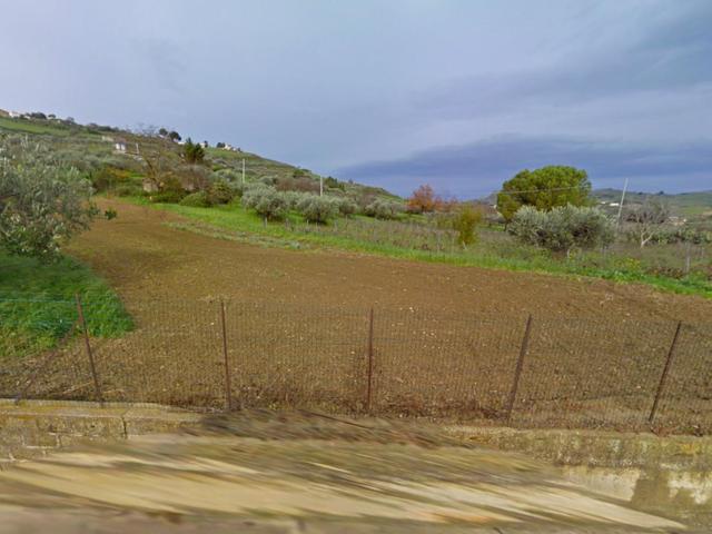 Agricoli in vendita