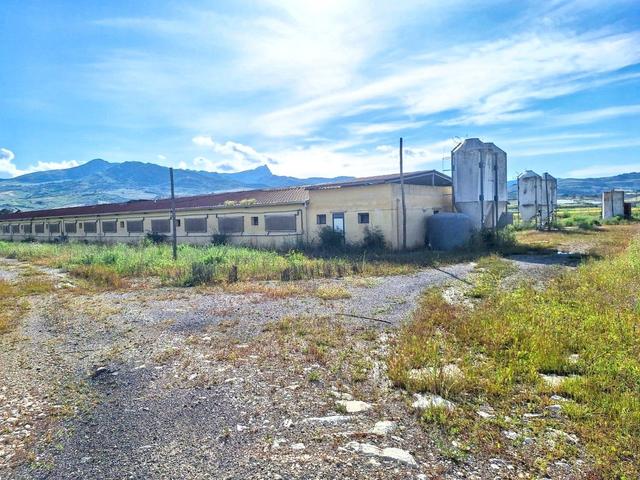 #2536004 Complesso zootecnico comprensivo di impianti in vendita - foto 7