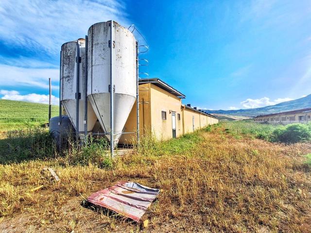 #2536004 Complesso zootecnico comprensivo di impianti in vendita - foto 8