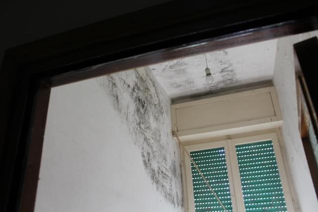 Appartamenti in vendita