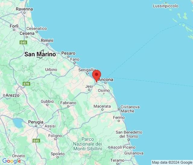 Grandi dimensioni in vendita