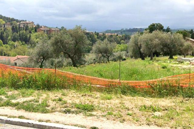 #26060 Appezzamento agricolo con area boschiva in vendita - foto 2