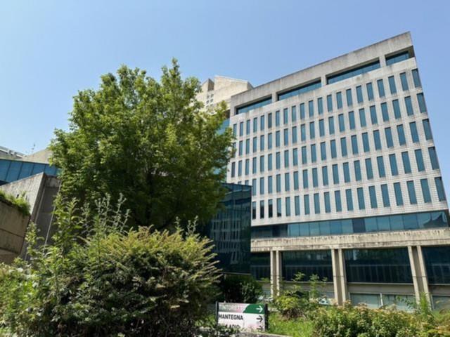 Grandi dimensioni in vendita