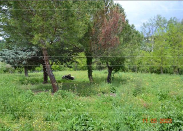 #25117 Terreno edificabile residenziale in vendita - foto 2