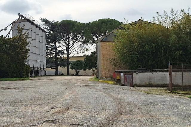 Artigianali in vendita