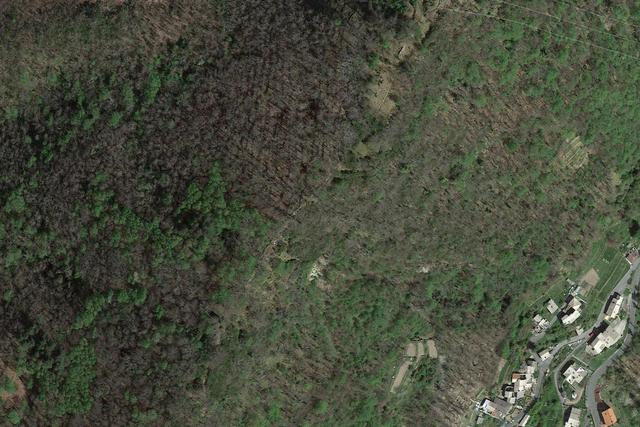 #23750 Diritti di escavazione su terreni – Cava Fondega in vendita - foto 3