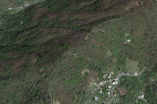 #23750 Diritti di escavazione su terreni – Cava Fondega in vendita - foto 4