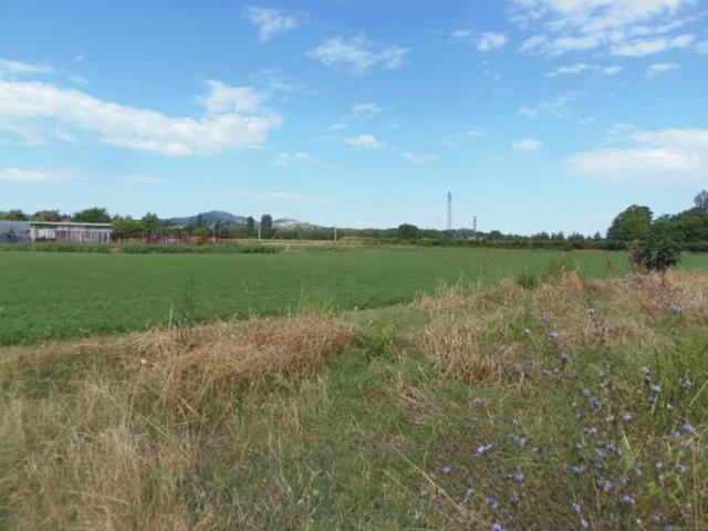 Rustici e casali in vendita