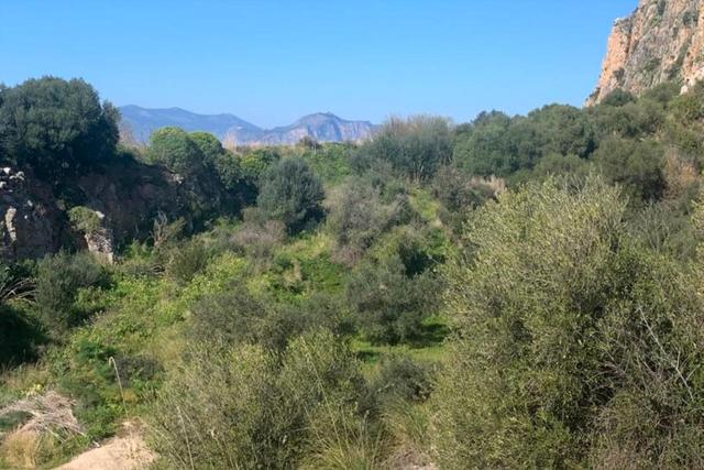 #21269 Appezzamento di terreno di 6660 mq in vendita - foto 8