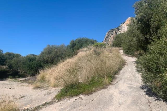 Agricoli in vendita