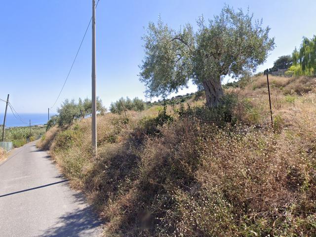 #2537118 Terreno edificabile residenziale 20.337 mq in zona collinare in vendita - foto 2