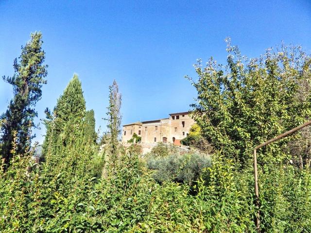 Rustici e casali in vendita