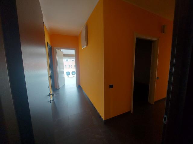 photogallery 3
