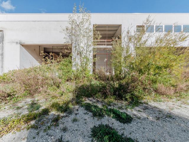 Stabilimenti produttivi in vendita