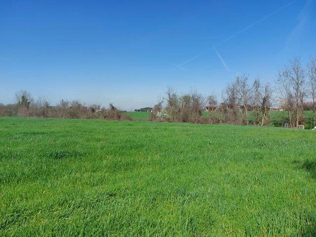 #23072 Terreno edificabile residenziale in vendita - foto 7