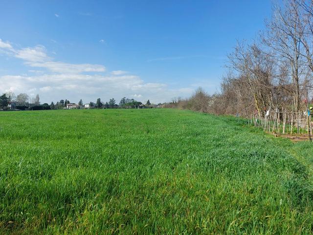 #23072 Terreno edificabile residenziale in vendita - foto 9
