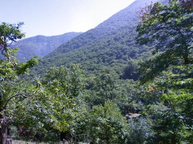 Agricoli in vendita
