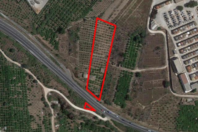 Agricoli in vendita