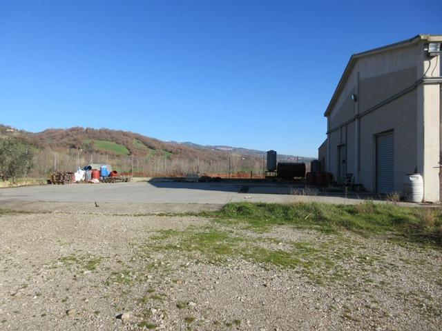 #15107 Complesso agricolo con pertinenze in vendita - foto 90