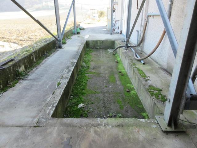 #15107 Complesso agricolo con pertinenze in vendita - foto 82