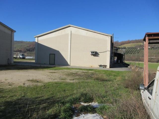 #15107 Complesso agricolo con pertinenze in vendita - foto 86