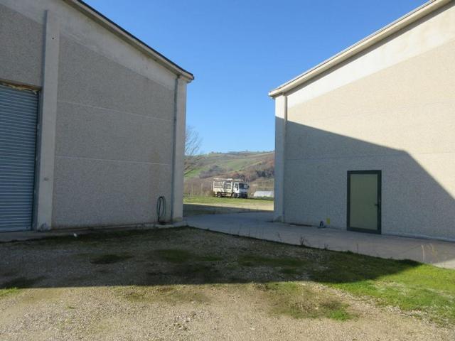 #15107 Complesso agricolo con pertinenze in vendita - foto 93