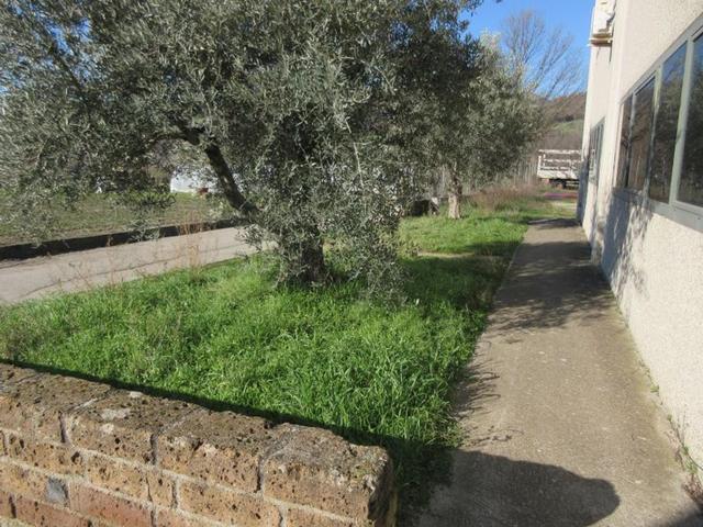 #15107 Complesso agricolo con pertinenze in vendita - foto 21