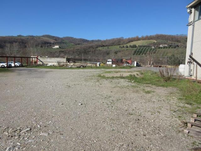 #15107 Complesso agricolo con pertinenze in vendita - foto 18