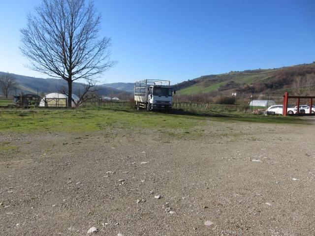 #15107 Complesso agricolo con pertinenze in vendita - foto 17