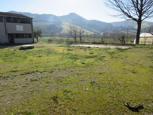 #15107 Complesso agricolo con pertinenze in vendita - foto 16