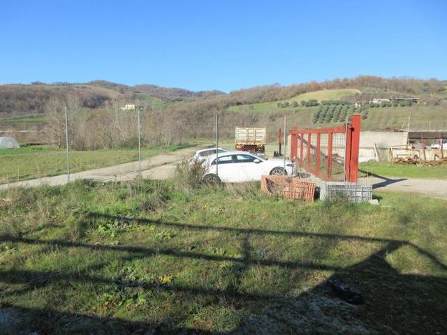 #15107 Complesso agricolo con pertinenze in vendita - foto 13