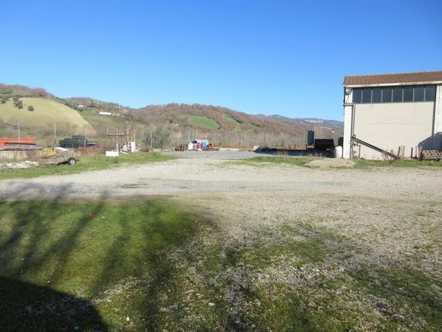 #15107 Complesso agricolo con pertinenze in vendita - foto 14
