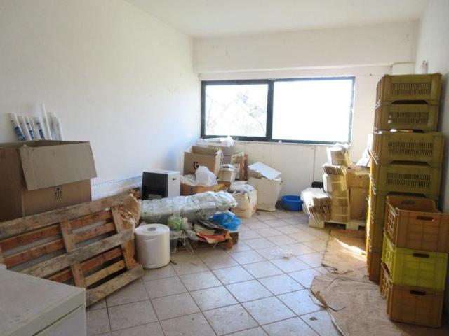 #15107 Complesso agricolo con pertinenze in vendita - foto 26