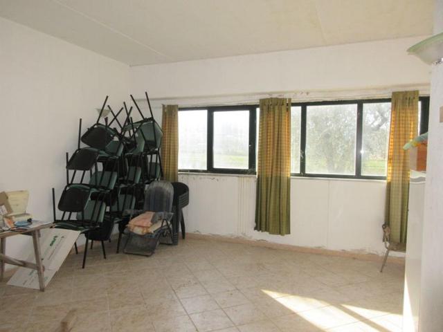 #15107 Complesso agricolo con pertinenze in vendita - foto 49
