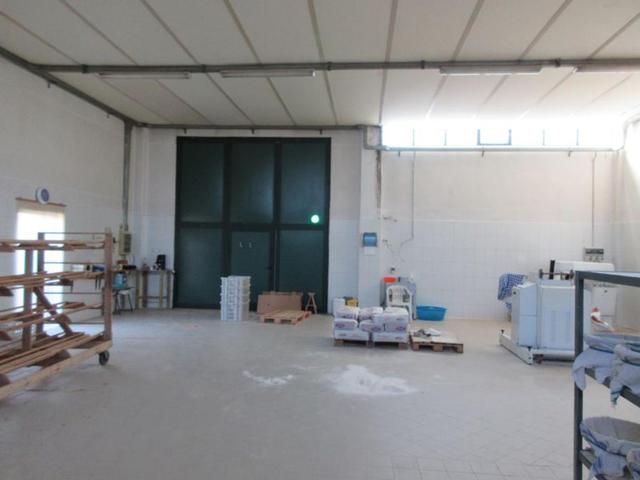 #15107 Complesso agricolo con pertinenze in vendita - foto 28