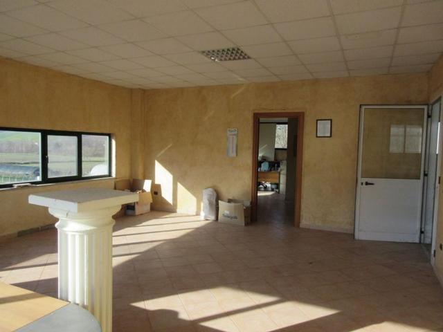 #15107 Complesso agricolo con pertinenze in vendita - foto 37