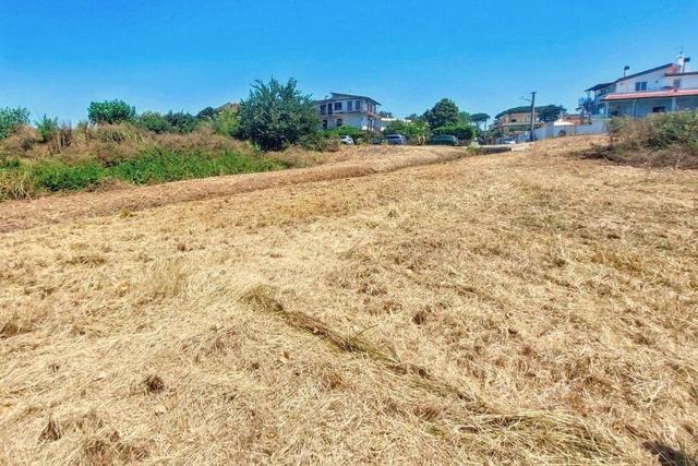 #25687 Striscia di terreno adibita verde pubblico in vendita - foto 2