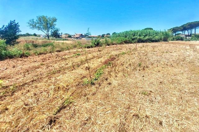 #25687 Striscia di terreno adibita verde pubblico in vendita - foto 4