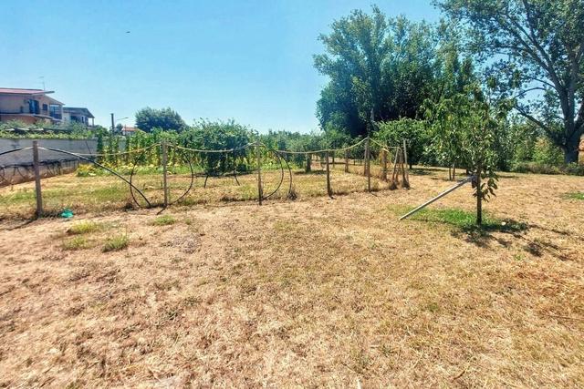 #25687 Striscia di terreno adibita verde pubblico in vendita - foto 5