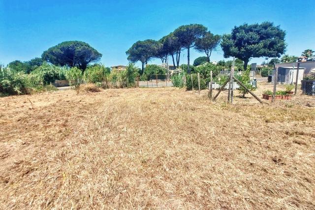 #25687 Striscia di terreno adibita verde pubblico in vendita - foto 6