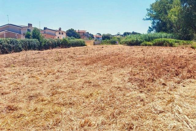 #25687 Striscia di terreno adibita verde pubblico in vendita - foto 8