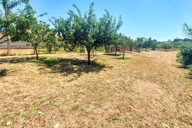 #25687 Striscia di terreno adibita verde pubblico in vendita - foto 9