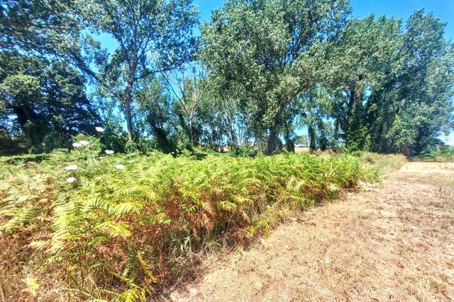 #25687 Striscia di terreno adibita verde pubblico in vendita - foto 10